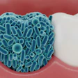 Tooth Biofilm Jibon