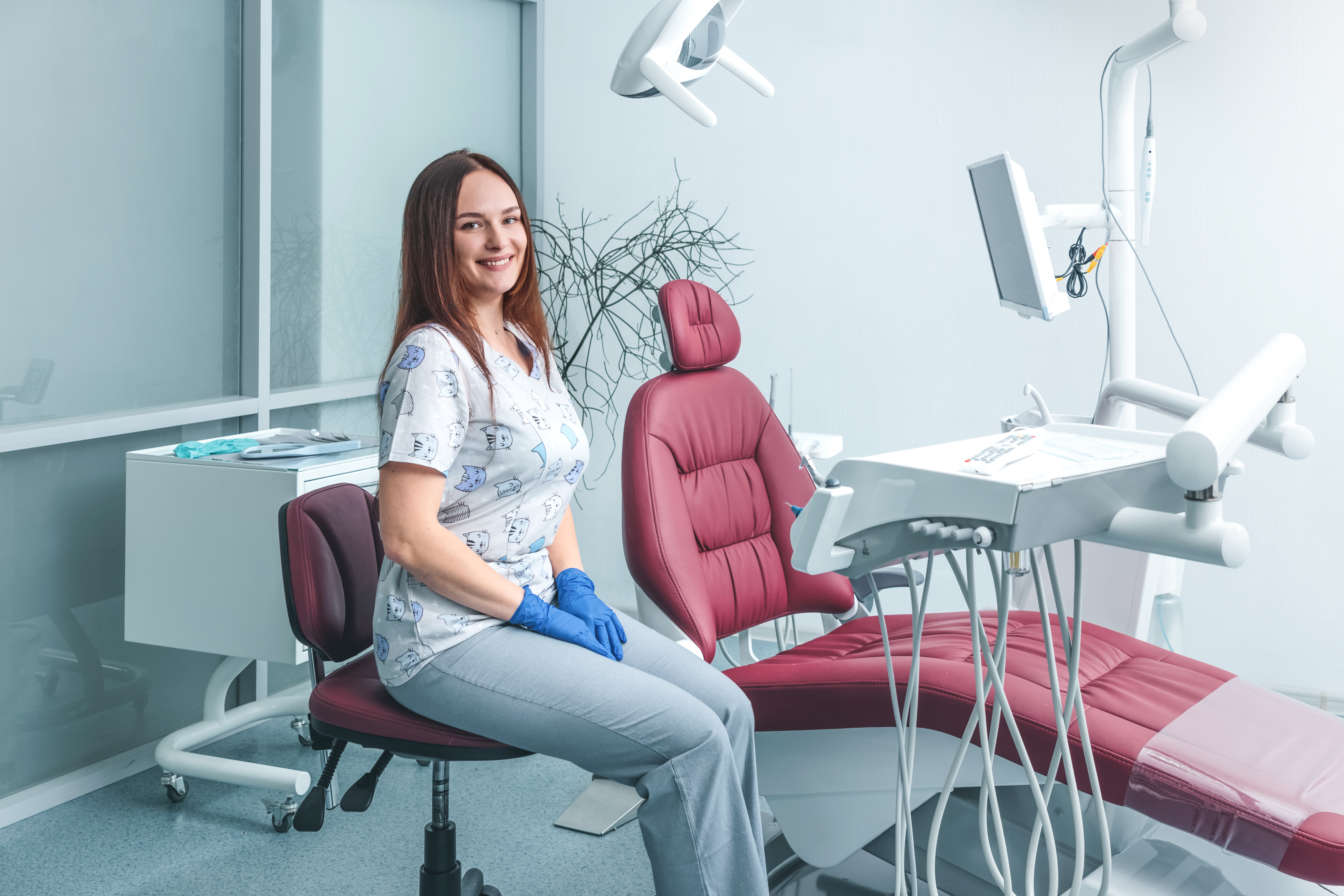 Dental Assistant Chair Alexander