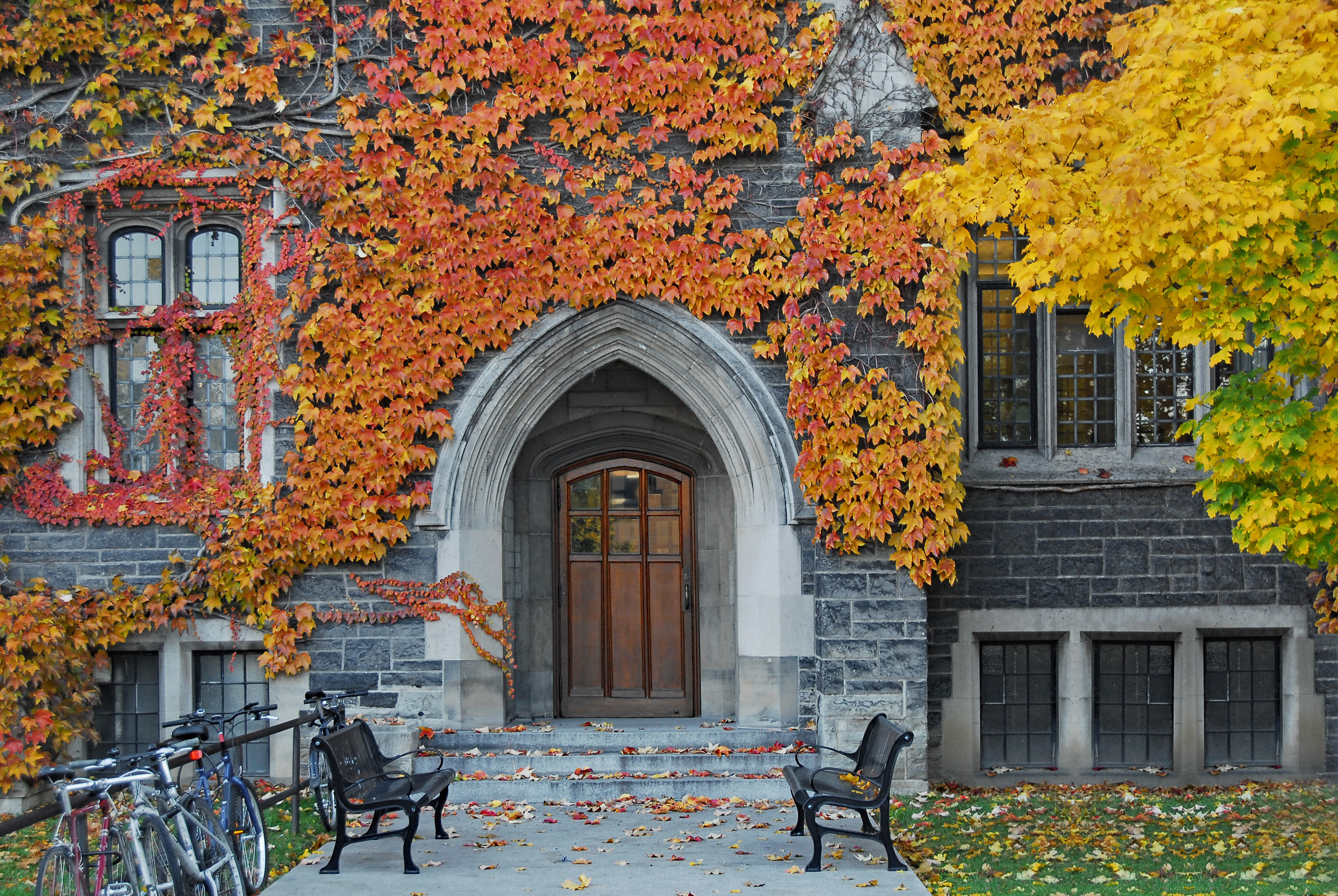 University Fascade