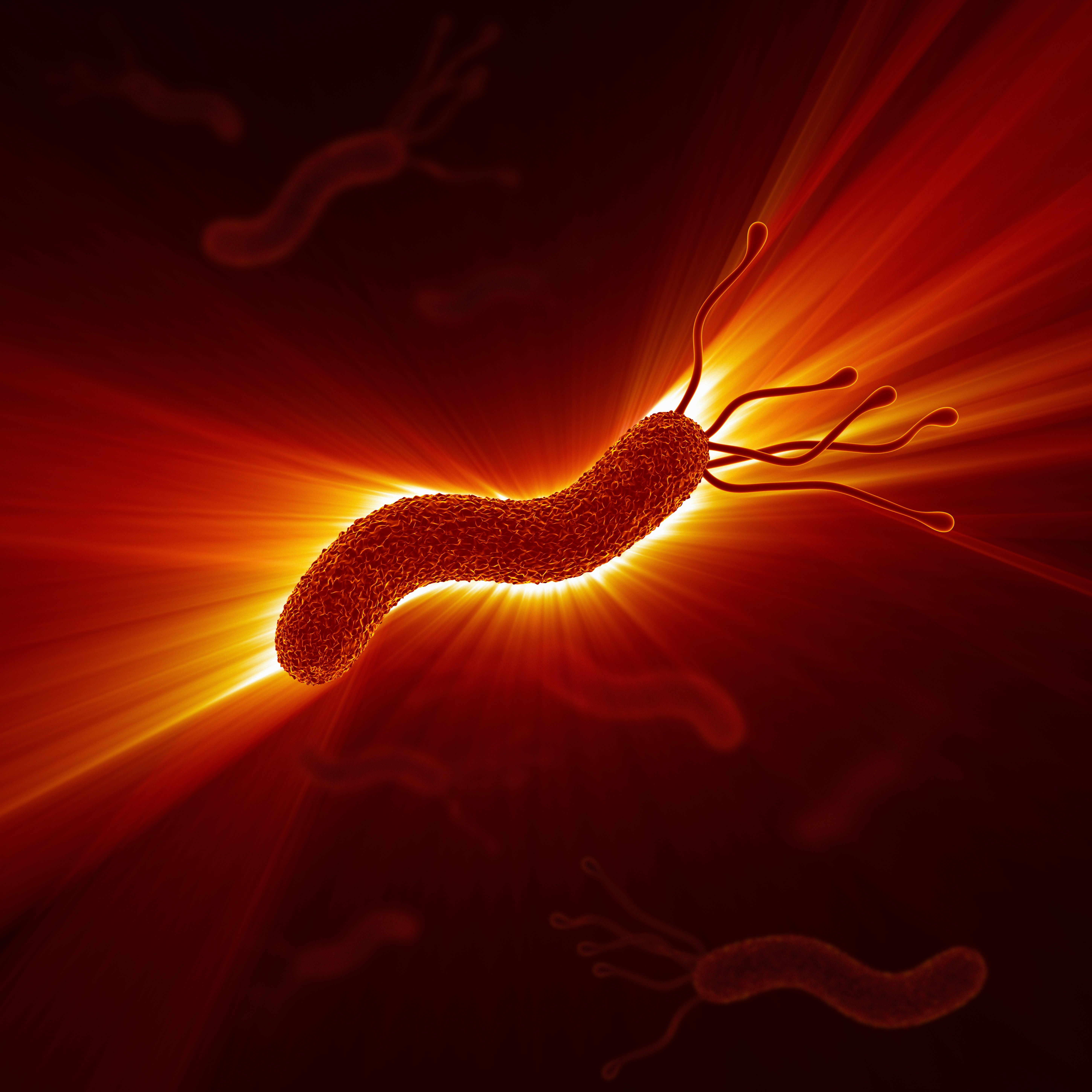 Heliobacter Pylori Decade3d