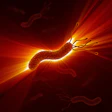 Heliobacter Pylori Decade3d