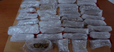 Marijuana that was seized from a health service supply room at FCI Otisville.