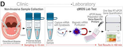 Figure 1: A graphical representation of the qMIDS-V3 workflow.