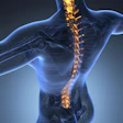 Back Spine Skeleton