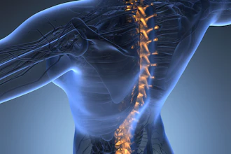 Back Spine Skeleton