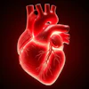 Heart Valves Artx Premium