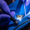 Root Canal Malyutinaanna