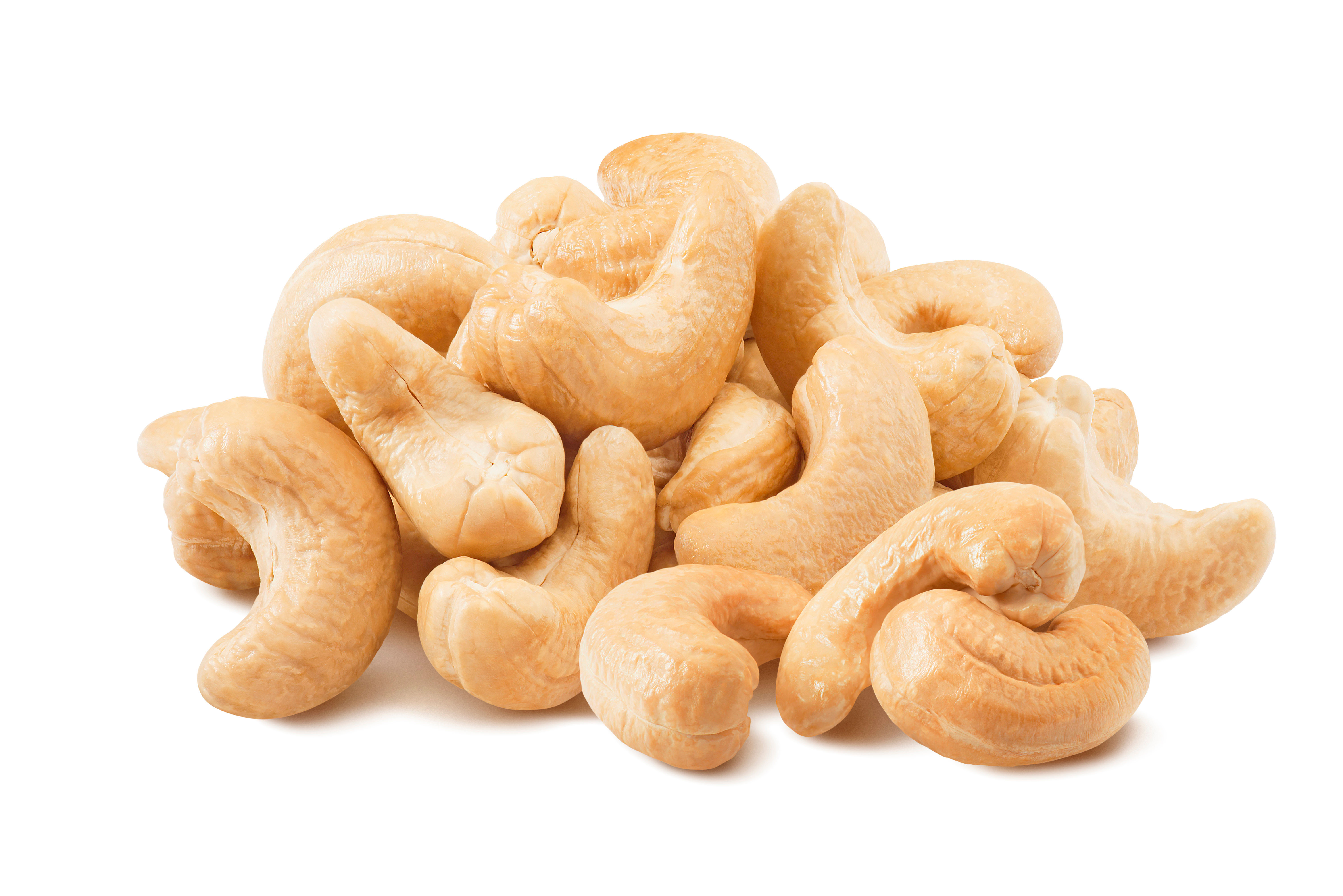 Cashew Nuts Yggdrasil