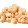 Cashew Nuts Yggdrasil