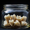Human Teeth Jar Oleksandr