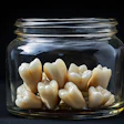 Human Teeth Jar Oleksandr