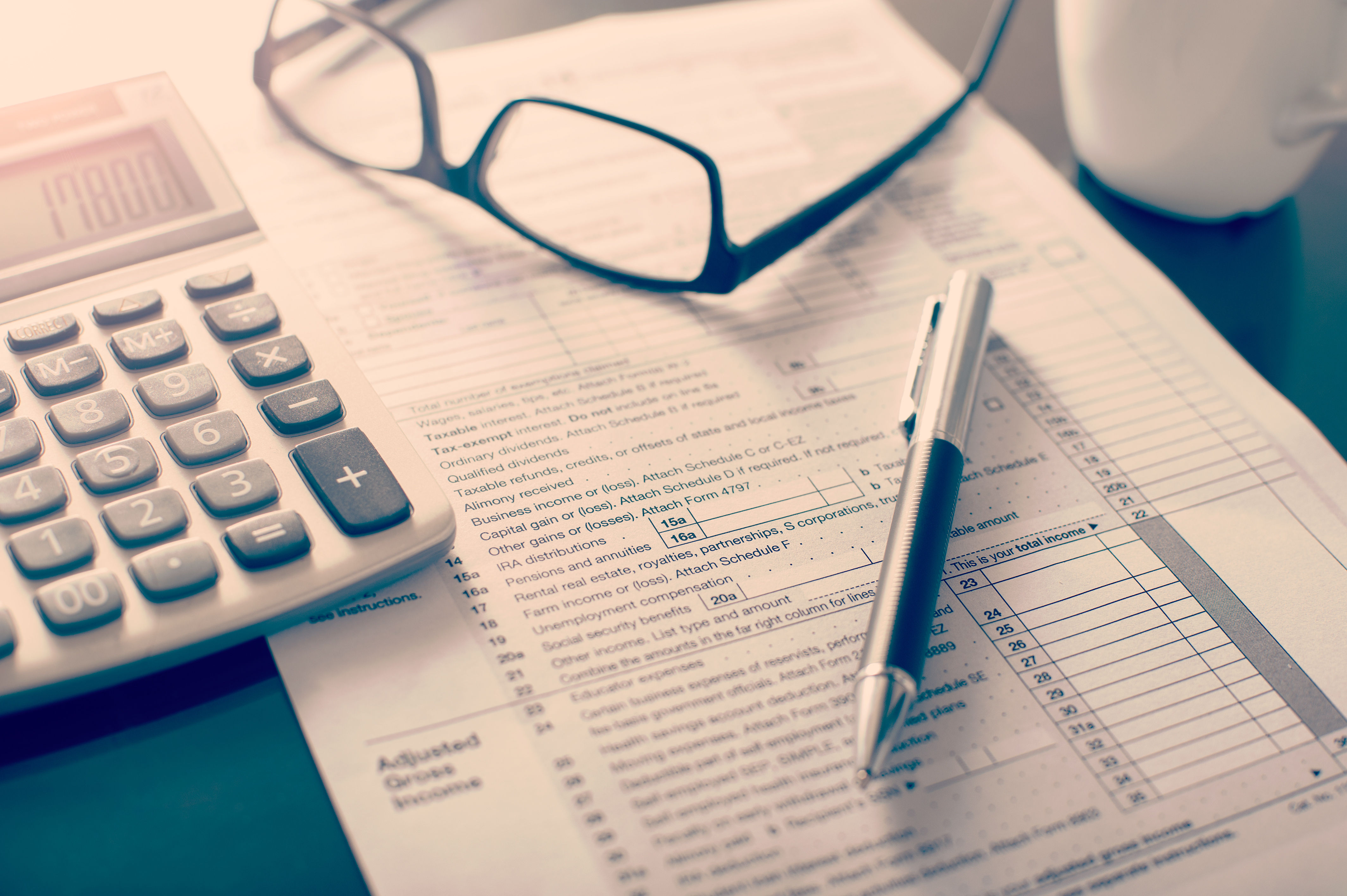 Income Tax Form Devrim Pinar