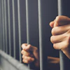 Jail Hands