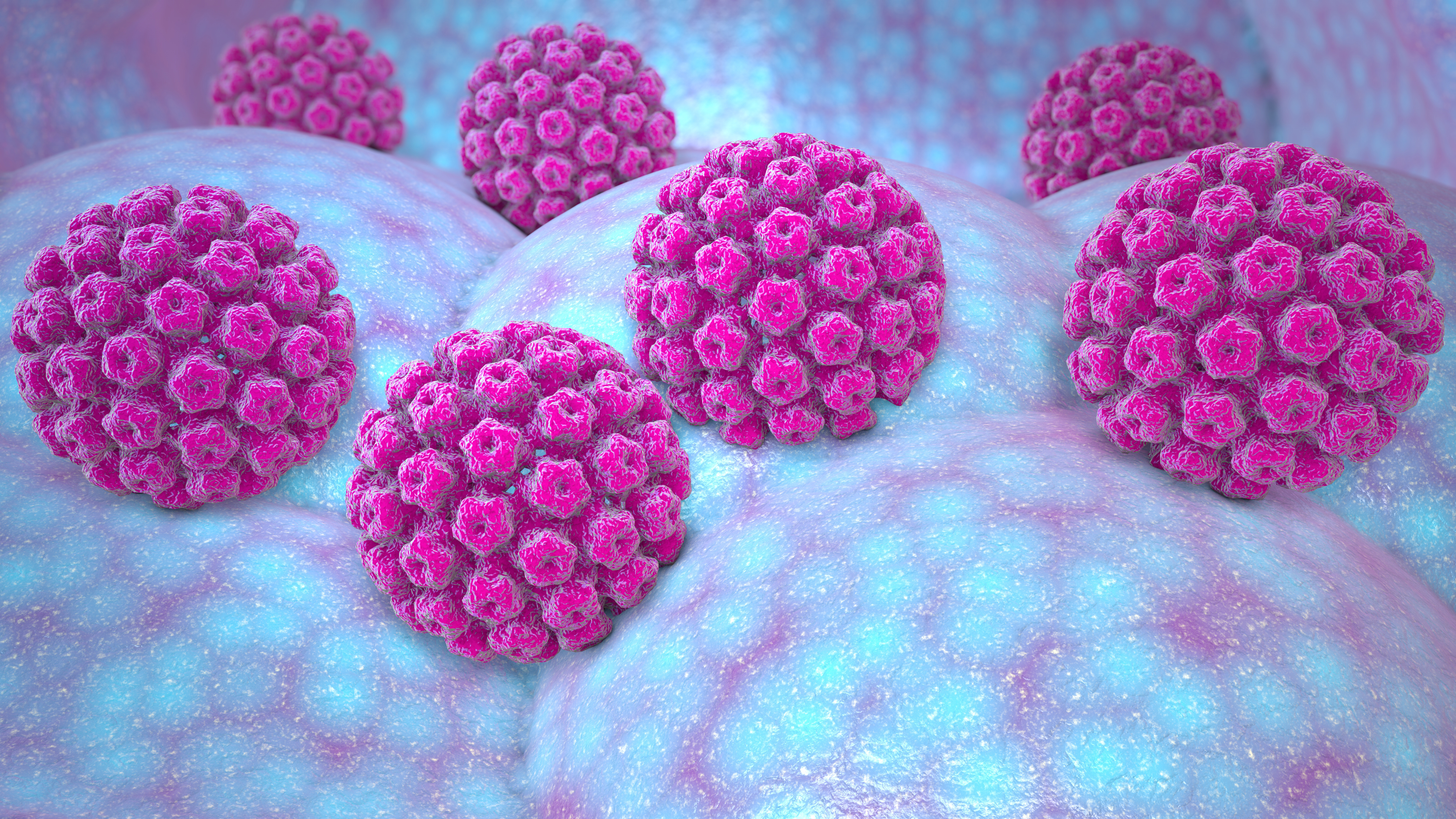 3D illustration of HPV particles.