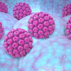 3D illustration of HPV particles.