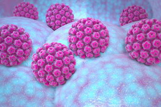 3D illustration of HPV particles.